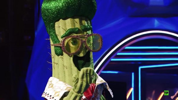 Mask Singer Cactus