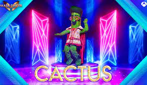 Mask Singer Cactus