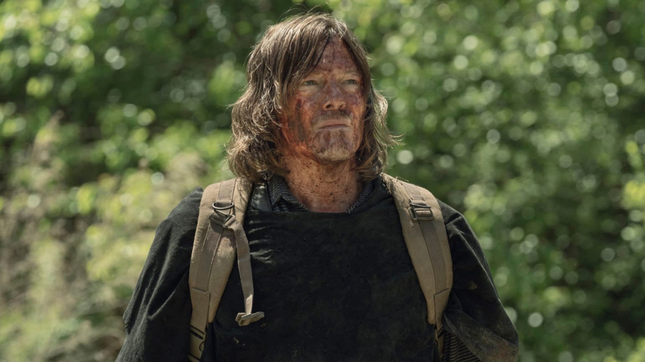 Walking Dead Daryl