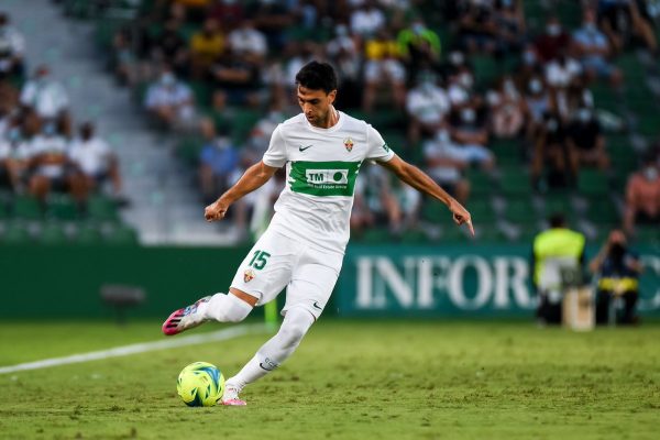 Elche Pastore