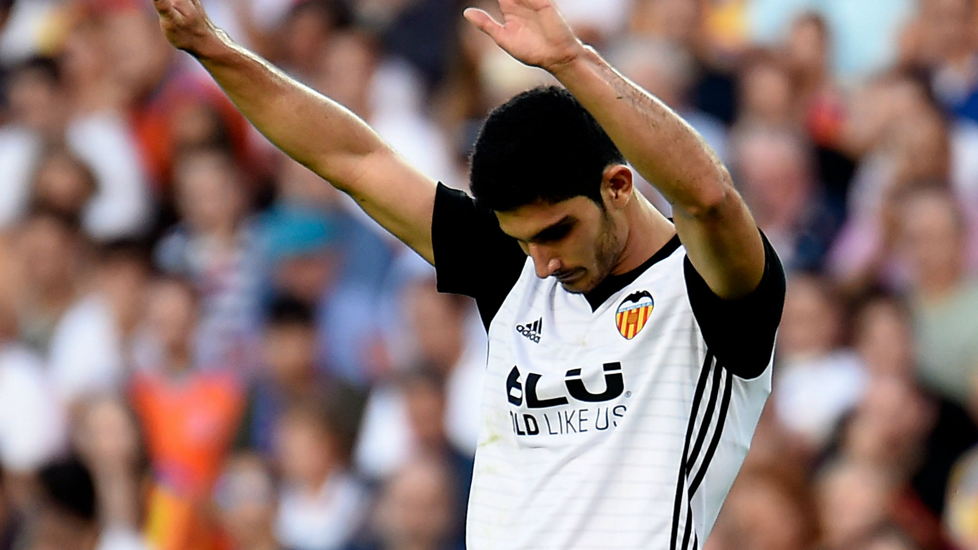 Sevilla Guedes