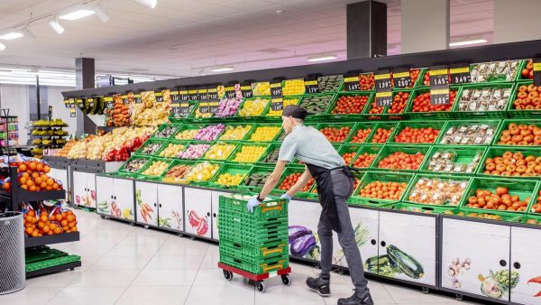 artículos Mercadona