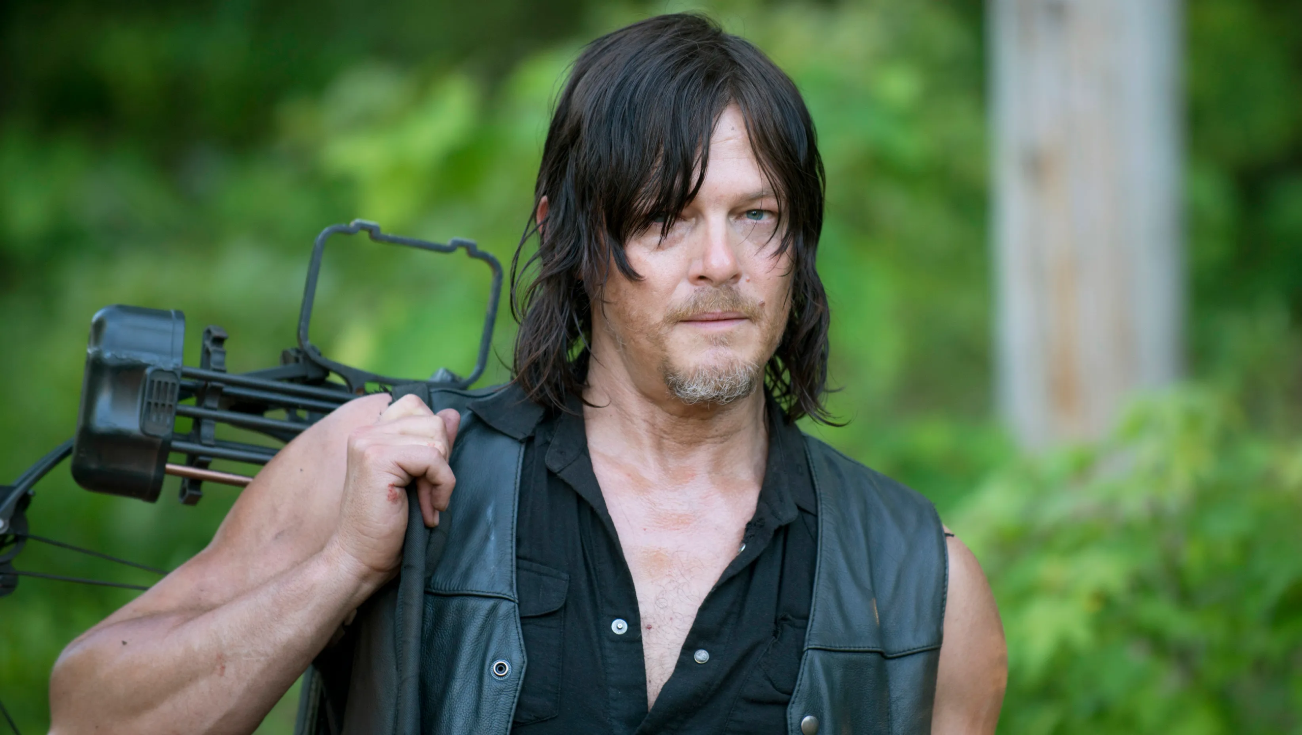 Daryl Walking Dead