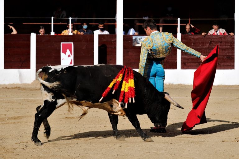 anchuelo toros