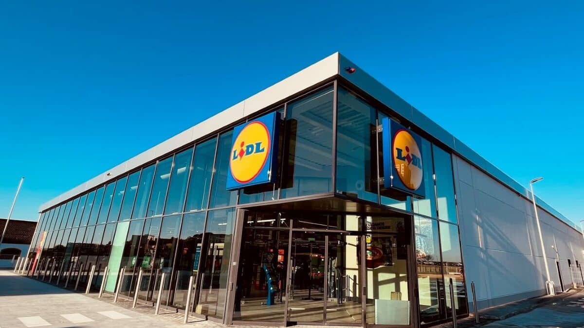 mosquitera Lidl