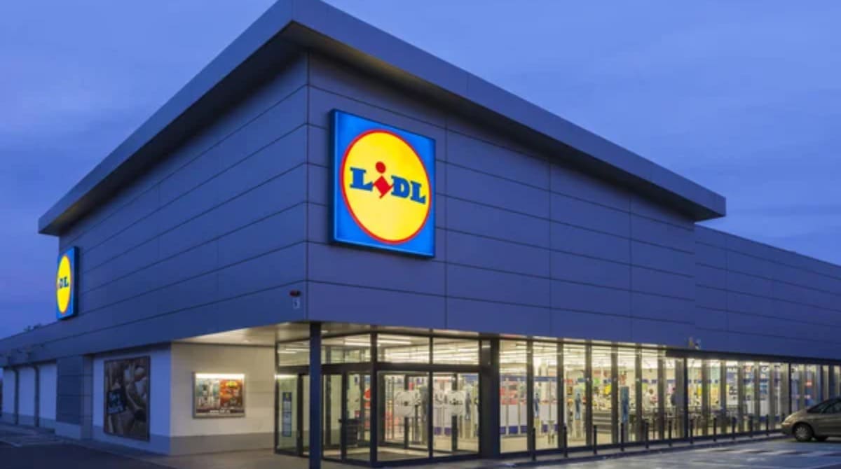 chanclas Lidl