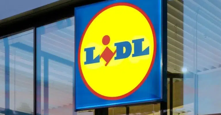 cojines Lidl