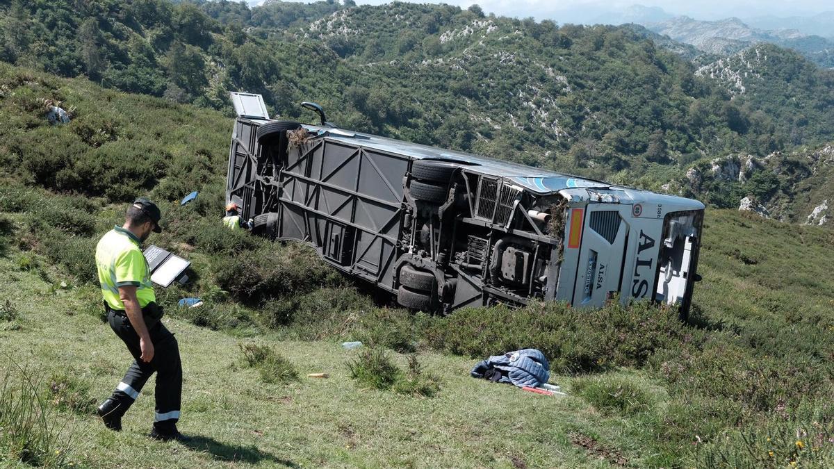 autobús lagos de covadonga