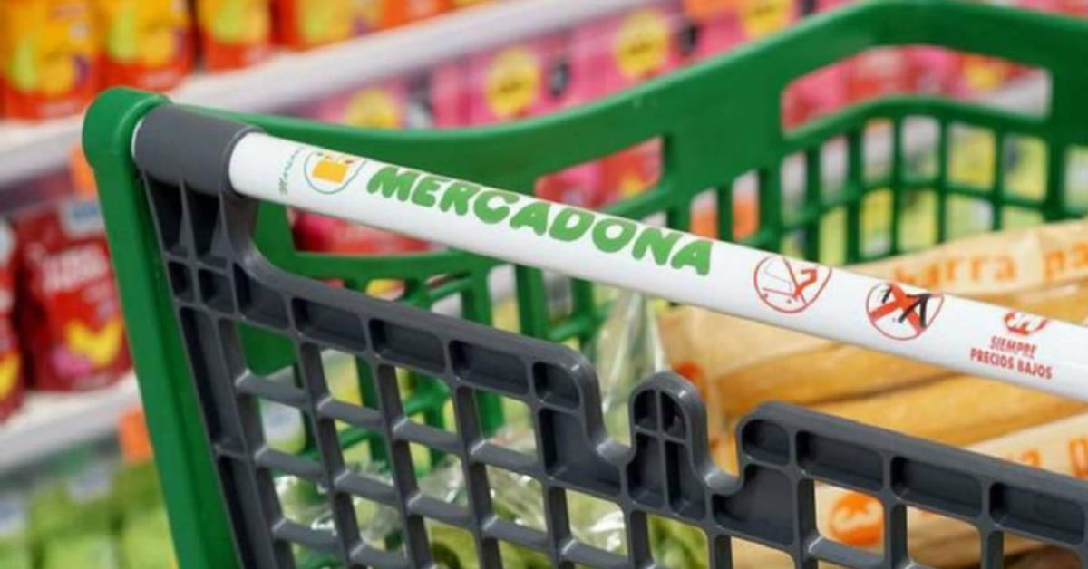 Mercadona carros