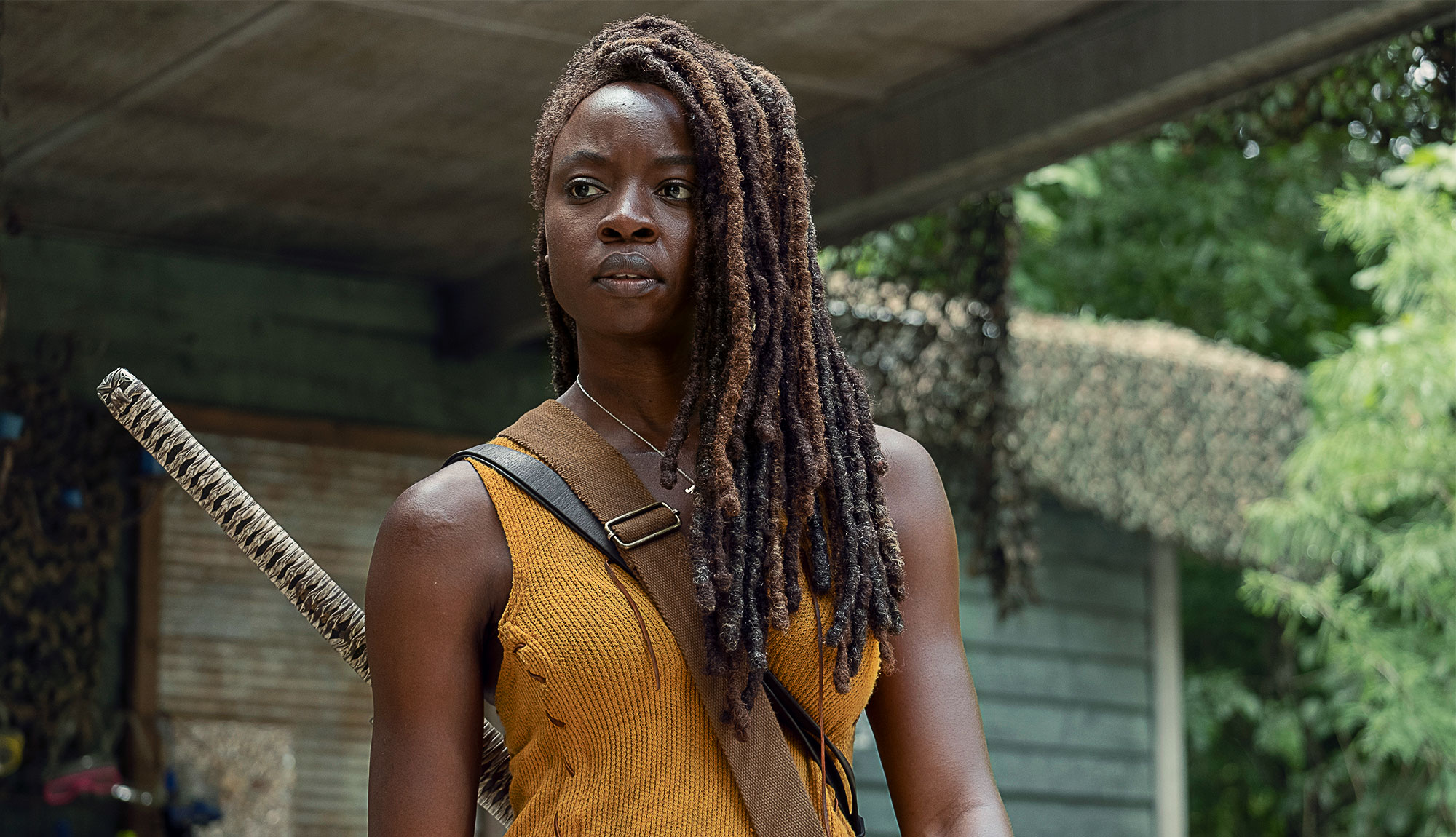 Walking Dead Michonne